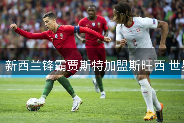 新西兰锋霸贾斯特加盟斯旺西 世界杯三球射手签约三年