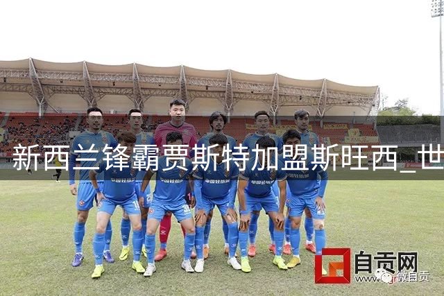 新西兰锋霸贾斯特加盟斯旺西 世界杯三球射手签约三年