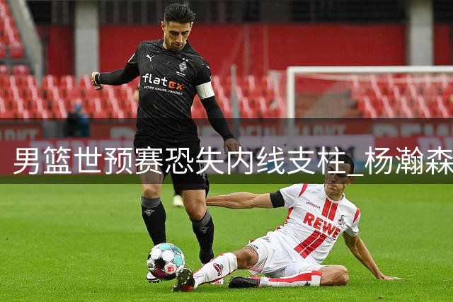 男篮世预赛恐失内线支柱 杨瀚森因NBA征程缺席后续赛事
