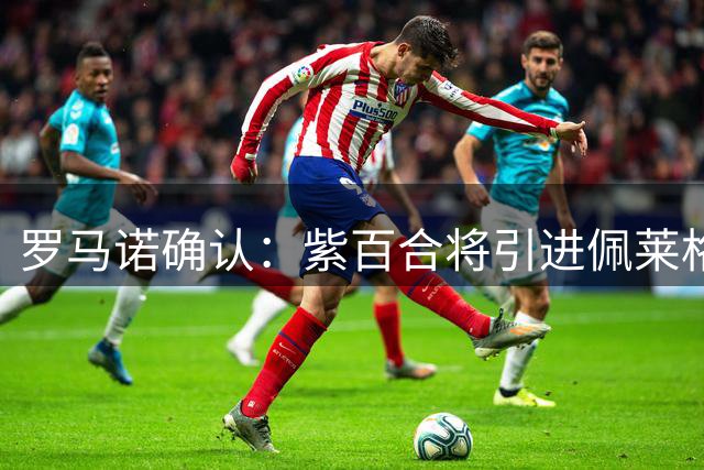 罗马诺确认：紫百合将引进佩莱格里诺 转会费超两千万欧