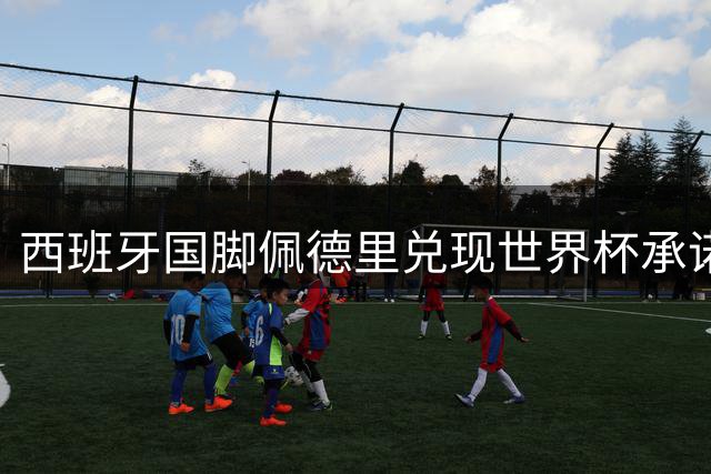 西班牙国脚佩德里兑现世界杯承诺 社交媒体晒金发新造型引发热议