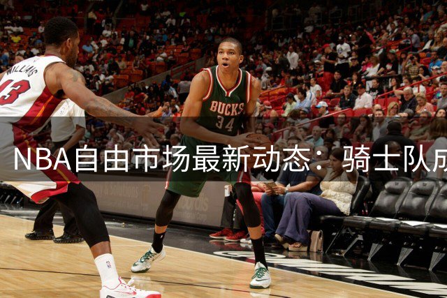 NBA自由市场最新动态：骑士队成功签下欧洲锋线海佐尼亚